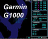 FS2X - Garmin G1000