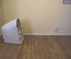 Roger Dodger - DIY Portable Aviation Combat Simulator