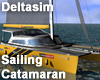Deltasim - Sailing Catamaran