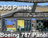 JSG Panels - Boeing 787 Panel