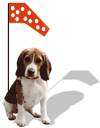 Beagle Aviation